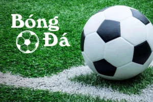 Cách Xác Định Bóng Trong Cuộc Và Bóng Ngoài Cuộc Chuẩn FIFA Mới Nhất