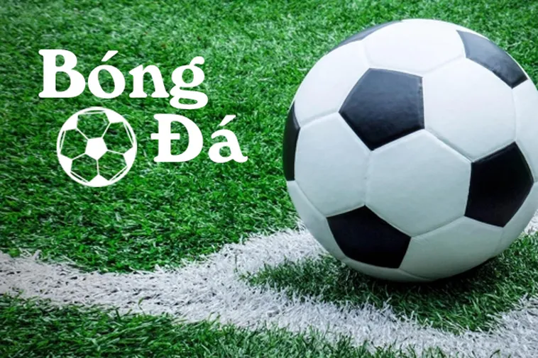 Cách Xác Định Bóng Trong Cuộc Và Bóng Ngoài Cuộc Chuẩn FIFA Mới Nhất