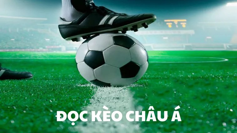 Cách Đọc Kèo Châu Á Và Những Lưu Ý Quan Trọng Nhất Cho Cầu Thủ