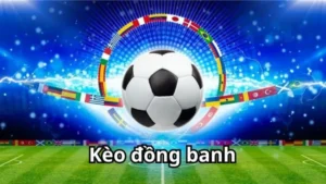 Kinh Nghiệm Phân Tích Kèo Đồng Banh Trong Những Trận Cầu Đinh
