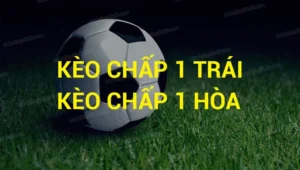 Hướng Dẫn Cách Phân Tích Thông Số Kèo Chấp 1 Trong Bóng Đá