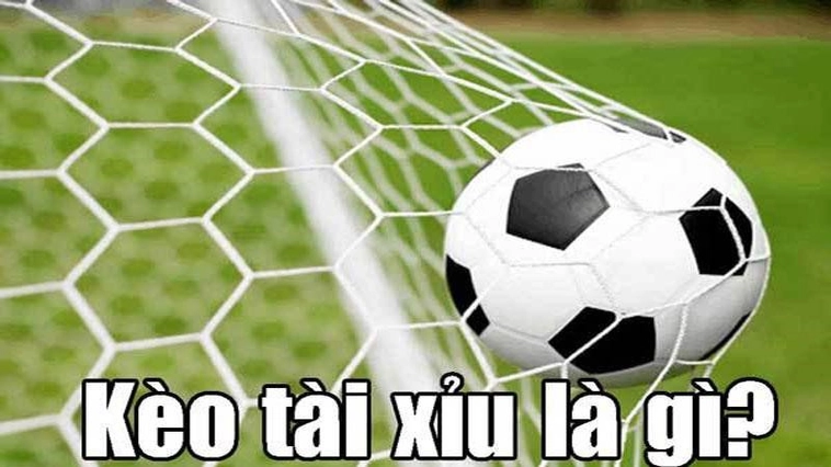 Cách Phân Tích Chỉ Số Kèo Tài Xỉu Bóng Đá Hiệu Quả