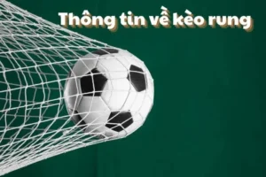 Cách Chinh Phục Kèo Rung Trong Bóng Đá Dành Cho Người Mới Bắt Đầu